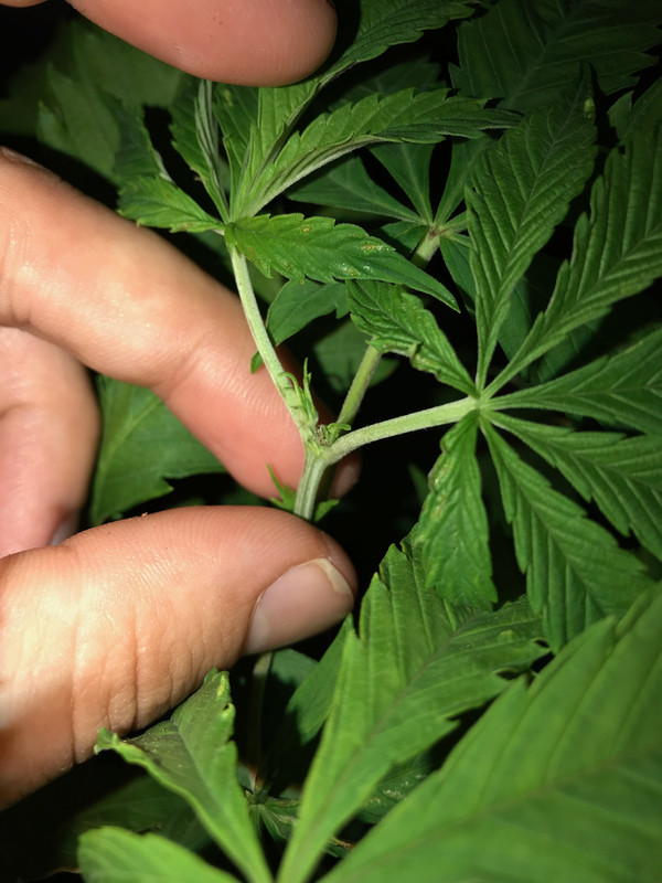 FAD5BAF9-E960-4BB4-AF6E-576E91ED06CF