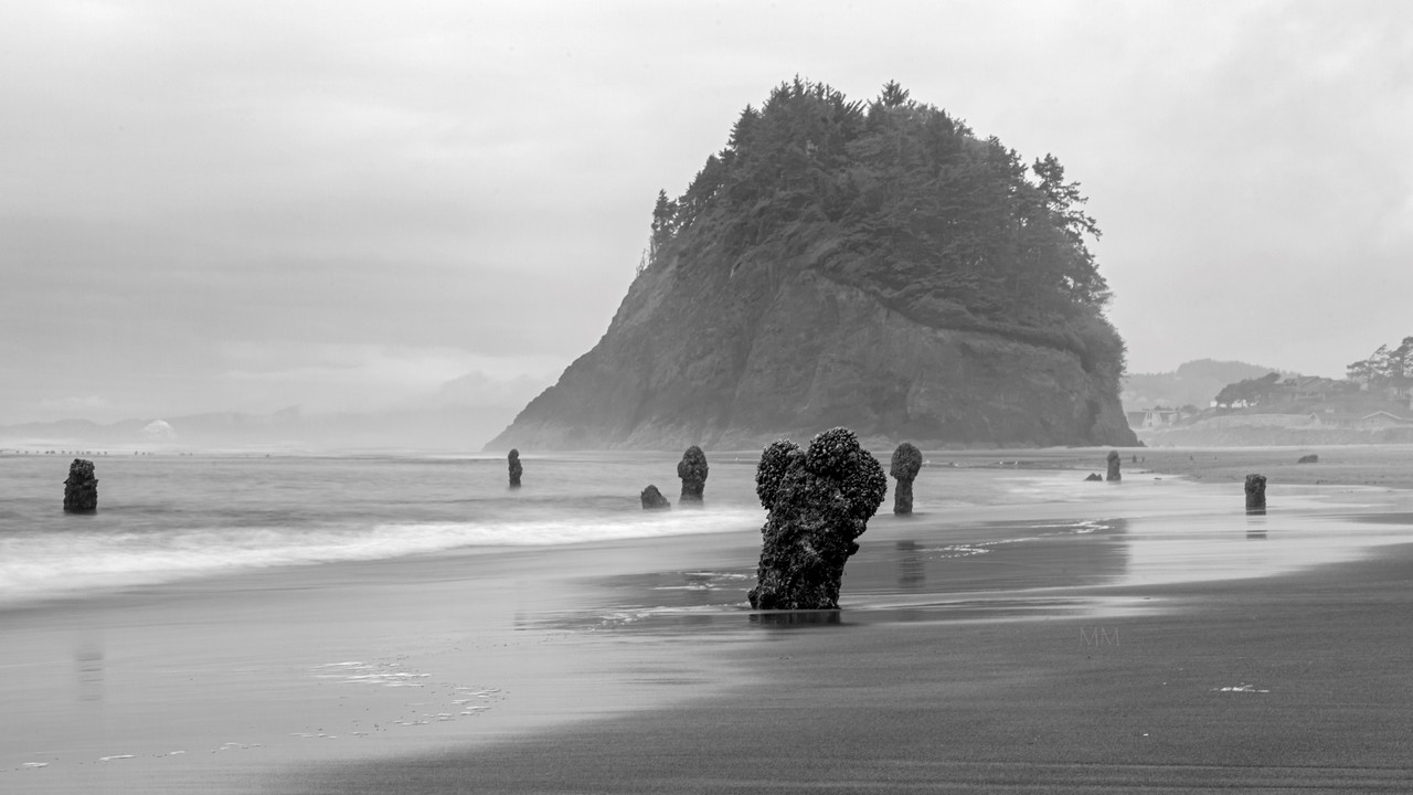 [Image: Neskowin-4-db-1mm.jpg]