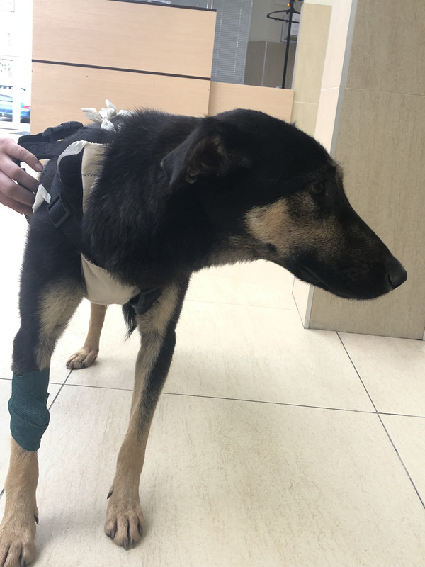 040D9EDC-1B29-492B-A719-959E57AC1C65