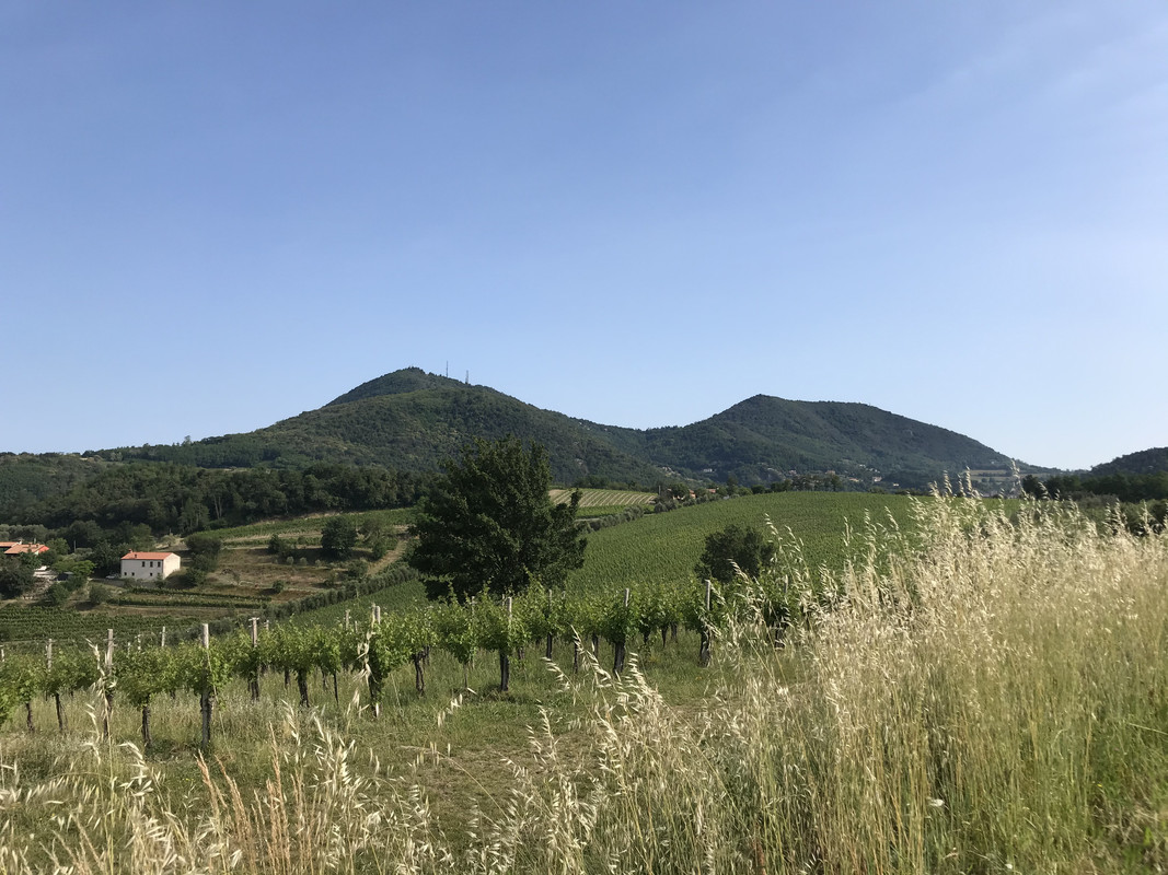 2675FDE0-F688-438E-8249-2B44CE2C11E0