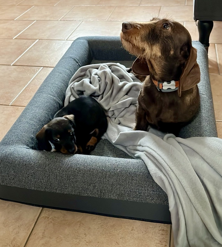 [Image: IMG-1115.jpg]