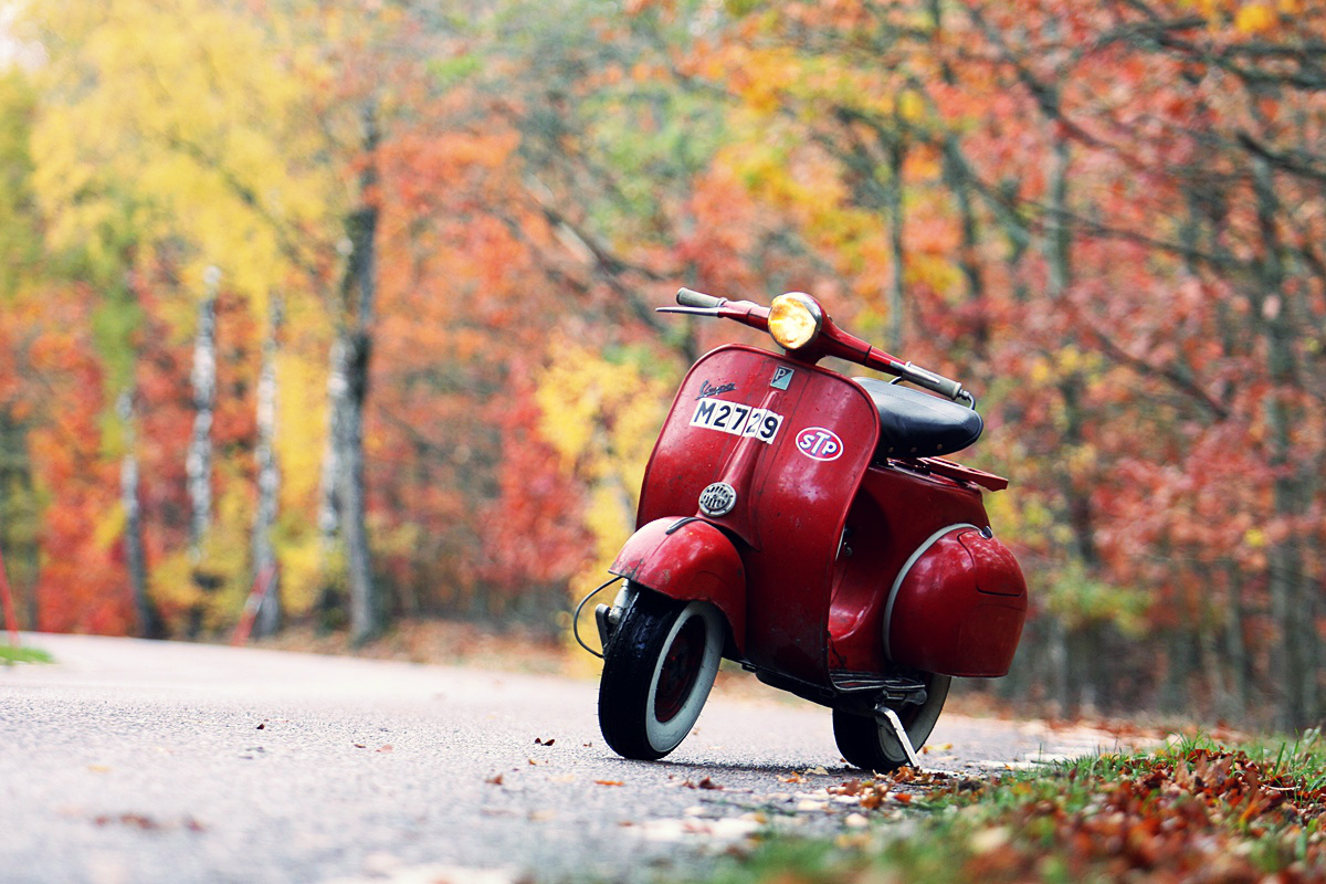 External inline image provided by member with no explanatory text