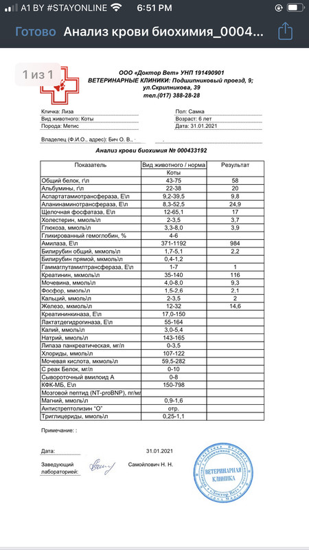 C4B199A3-082E-4985-8AE9-01922D1CC45E