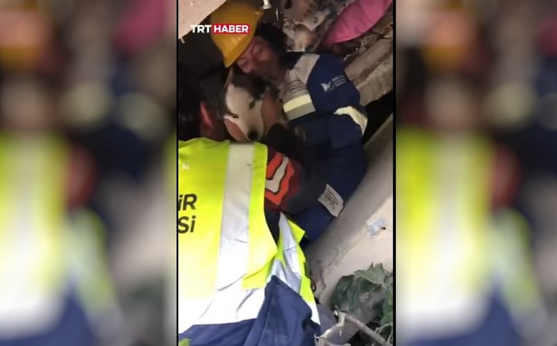 Rescate de perro en Turquía Rescate de perro en Turquía