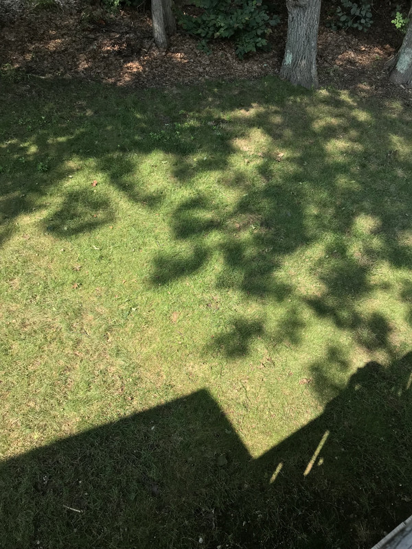 4C6547B7-3247-4DE4-9849-2A6B321E49B8