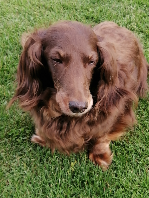 [Image: IMG-20240525-185953.jpg]