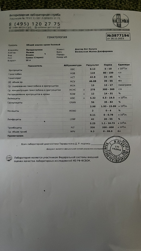 08DFBA7F-26F8-4291-BB4D-BD250D30FE6E