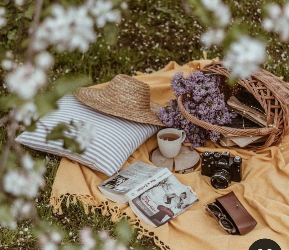 Screenshot_20240604_155750_Pinterest