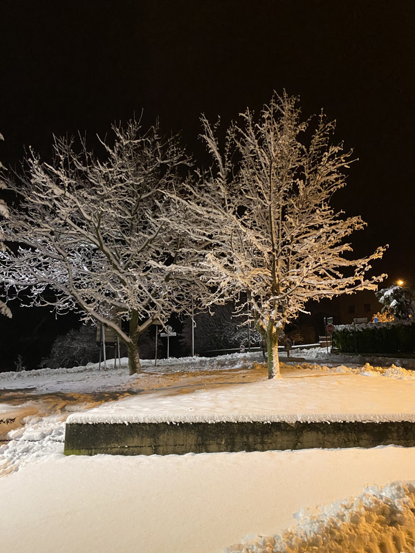 81CB4925-BAE1-44B5-BA5F-12563F1AB1E1