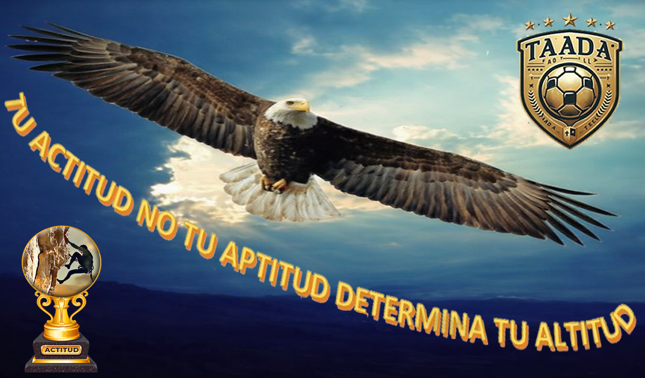 para PDDde fede png 9