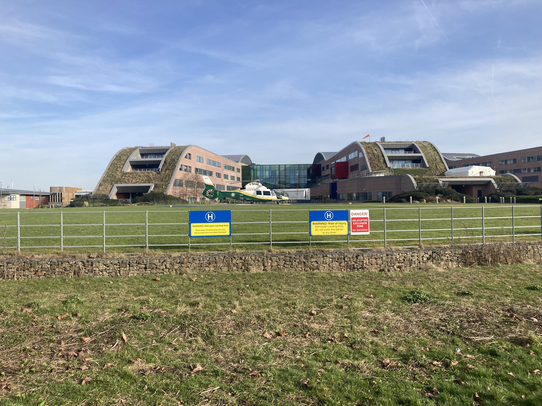 alder-hey