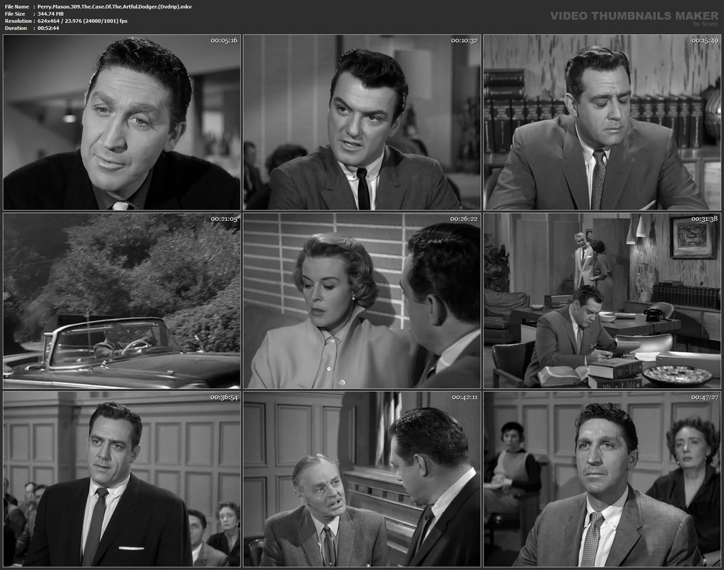 Perry.Mason.309.The.Case.Of.The.Artful.Dodger.(Dvdrip).mkv