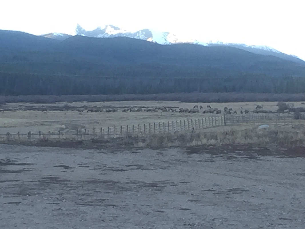 72C49BE7-0126-4485-B2F3-BD37626A44DE