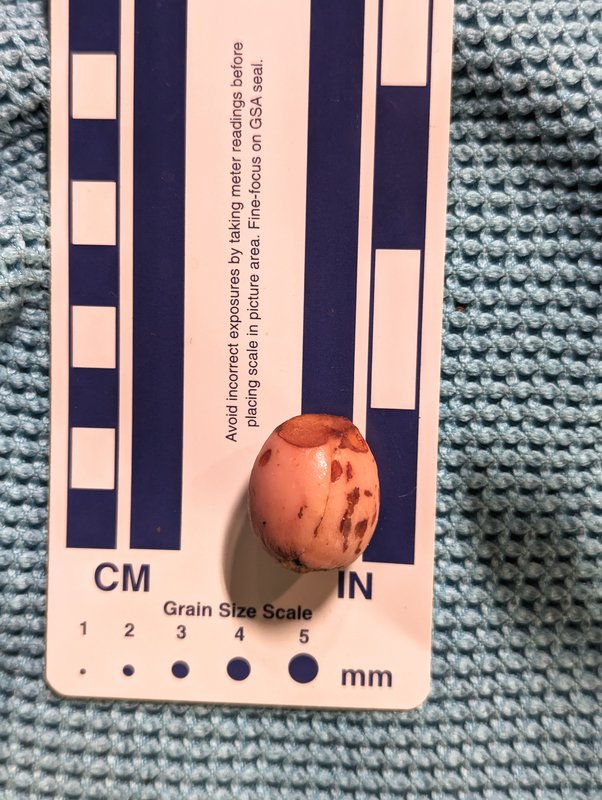 PXL_20230326_044839672