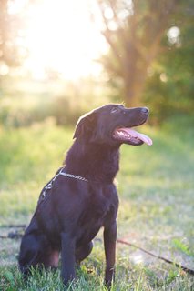 5B73338A-ABFA-4CA7-A551-B91E8FBA51D1