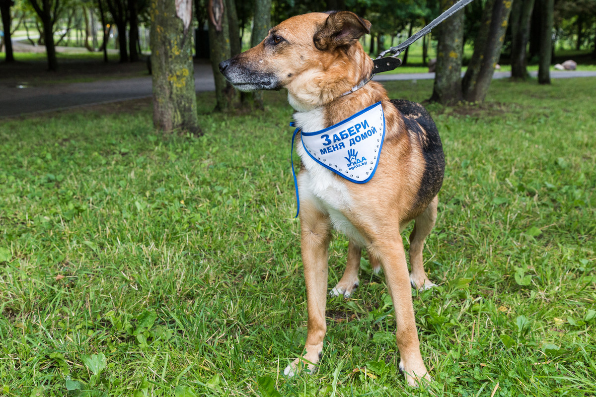 35F5C496-BA49-4114-8857-3076821A99EA