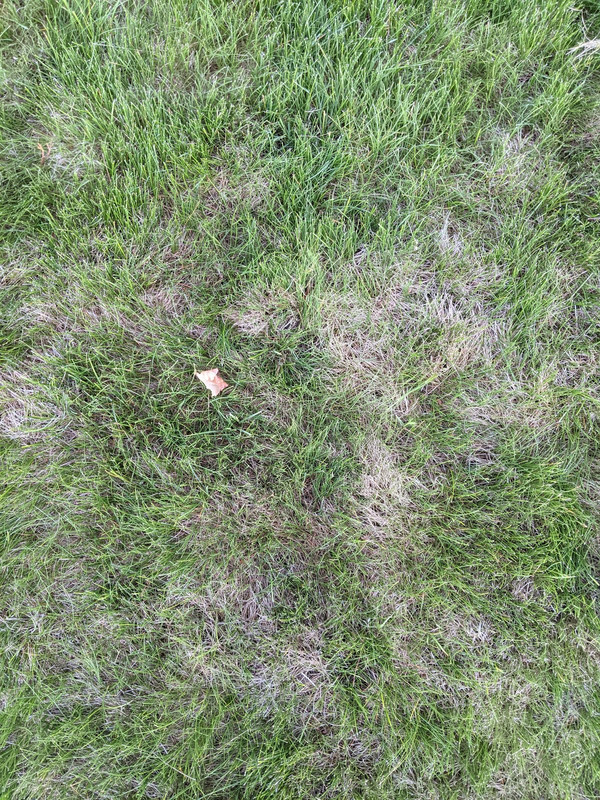 PXL_20210528_032458655