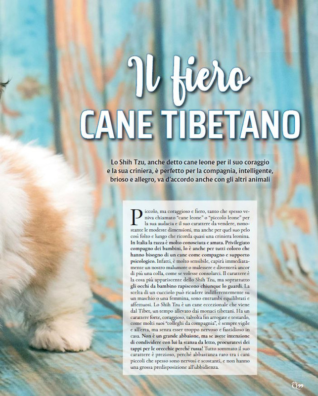 QuattroZampe Mar 2023 (12)