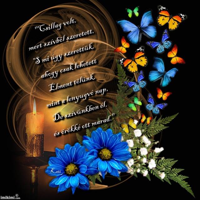 11665604_621805504586533_3488274647789936941_n