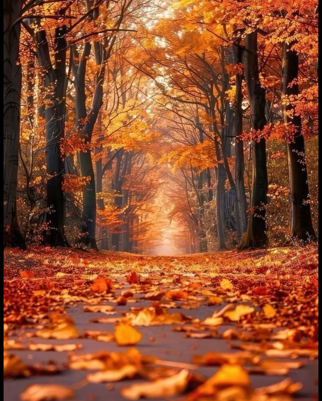 Screenshot_20250925_010444_Pinterest