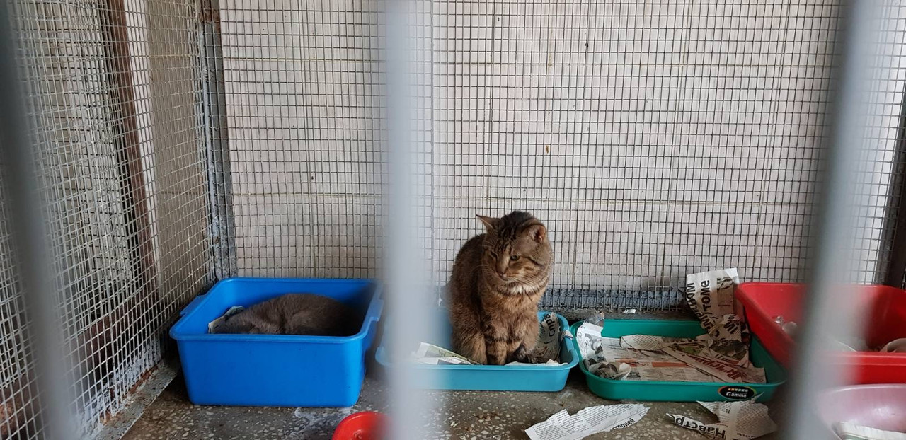 E243A5DB-FEB6-4C17-B1B6-9B01BB32F83A