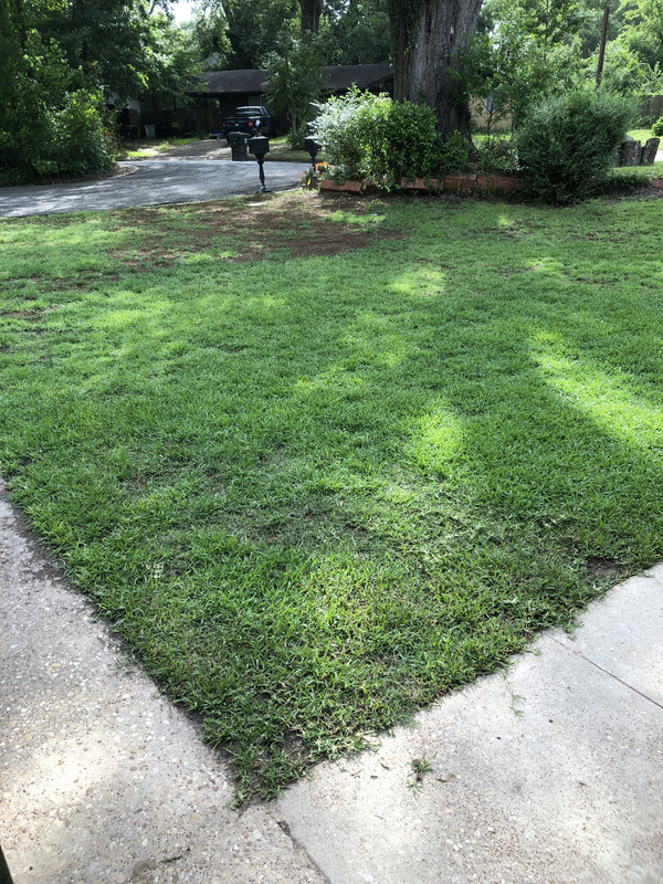 4D1716F1-54C6-409F-9E69-4ED4EC109D1F