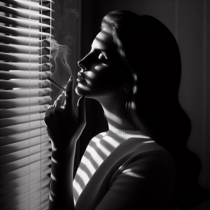 film noir roller blinds (8)