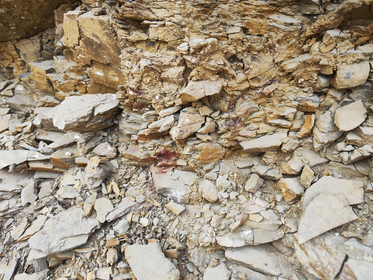 IMG 20251221 151929 1