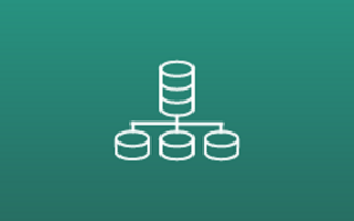 Introduction to Microsoft Excel (365 DataScience)