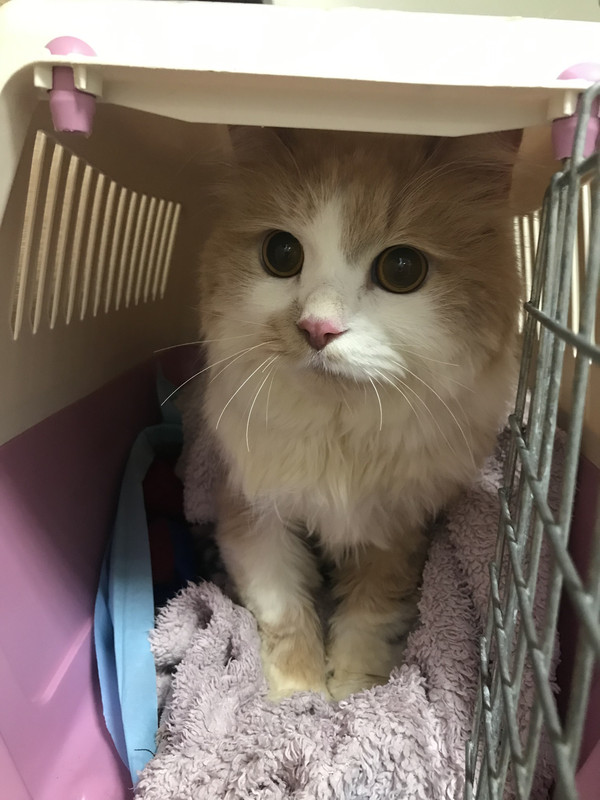 0237B9F7-EEB8-4FEE-8D98-571FF6541B73