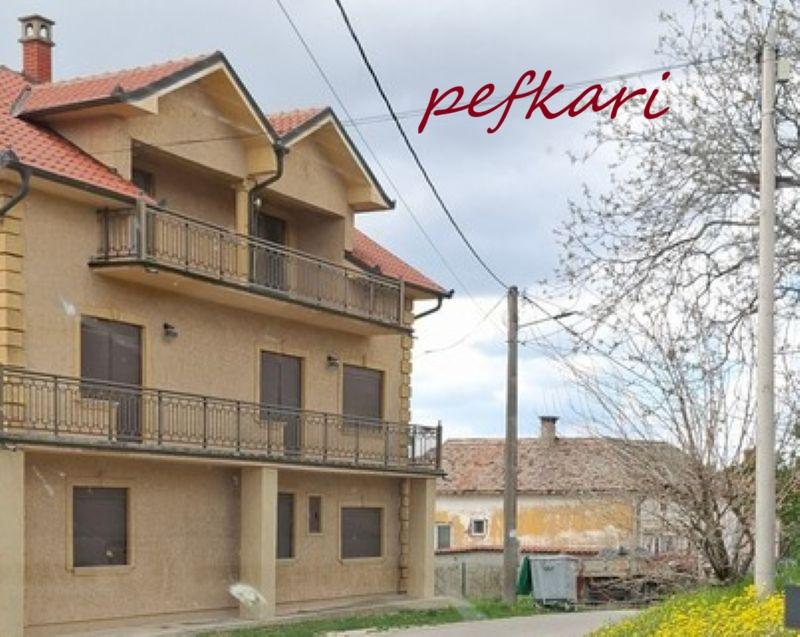 Slika