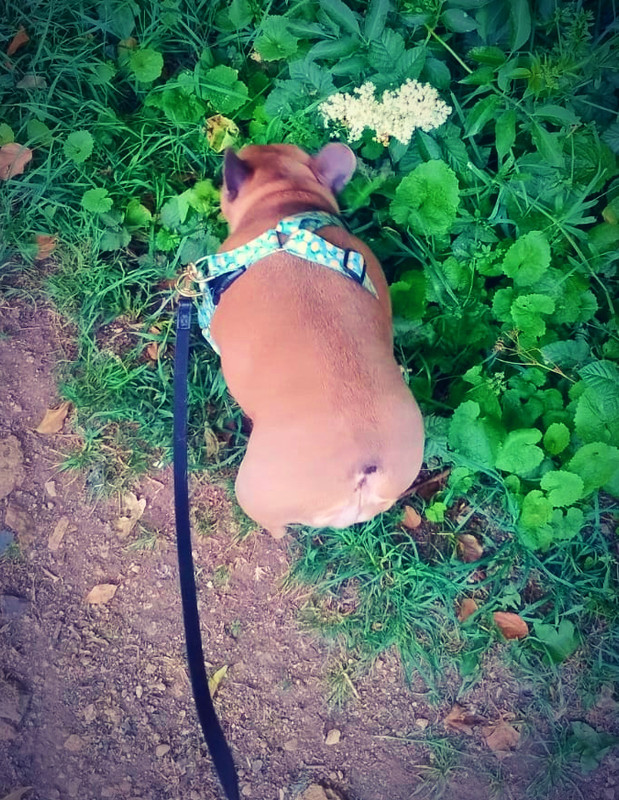 Walking Ruby