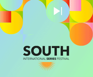 300x250-profesional (1)