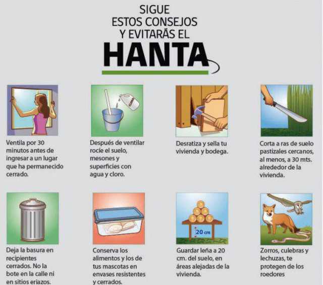 pasted-Image