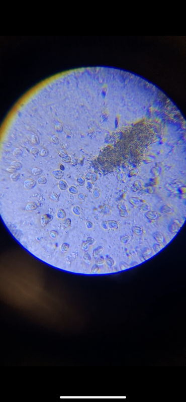 DB88715C-26FF-4FA9-B8EE-3FB5302C2C60