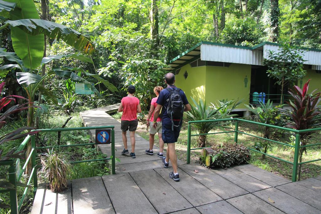 DIA 3: CANALES, COLINAS Y TORTUGAS - DE TORTUGAS Y PEREZOSOS. COSTA RICA 2019 (44)