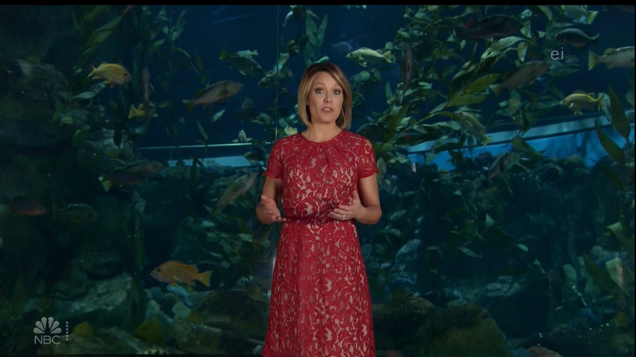 11.07 - 15.00.00 - Earth Odyssey With Dylan Dreyer. The world's smart....ts_snapshot_00.37.24.427