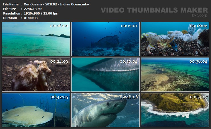 Our Oceans - S01E02 - Indian Ocean.mkv