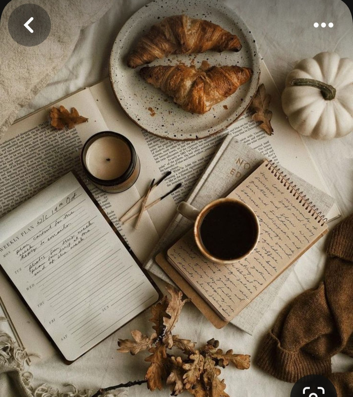 Screenshot_20230909_232622_Pinterest