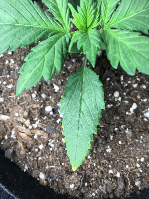 6981919A-2627-4FCE-995D-E56D54E265E3