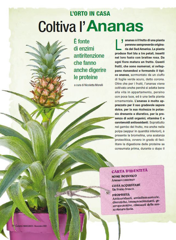 Cur Mang Nov 2022 (11)