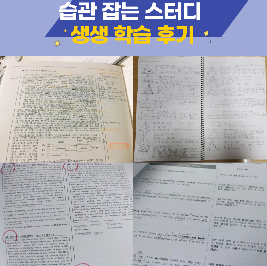심곡본동 영어과외 수학과외 15