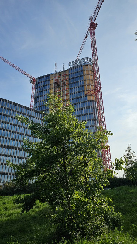 20250617-180544.jpg