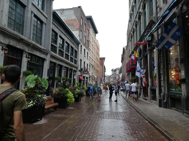 Montréal - DOS SEMANAS EN EL ESTE DE CANADÁ (ONTARIO Y QUÉBEC) (6)