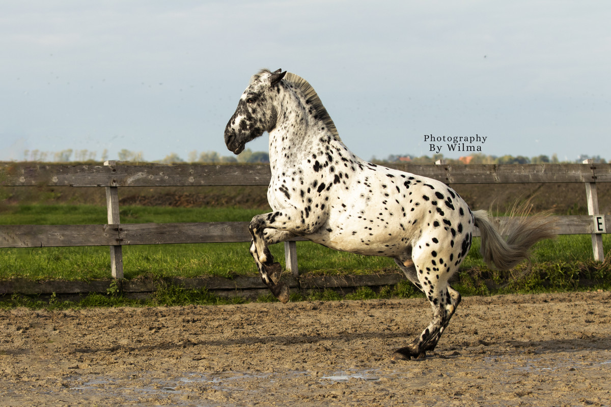 7A583CCA-1696-43DA-A220-8157C75ED426