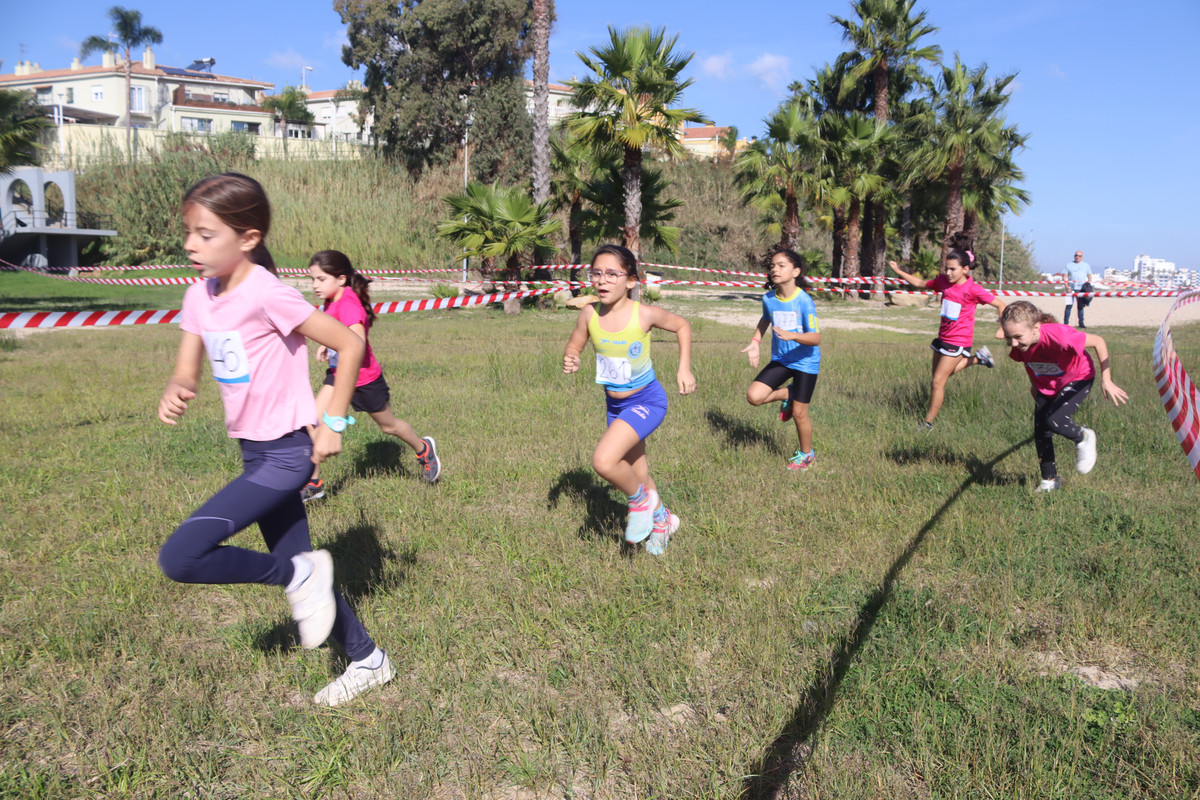 IMG-4184
