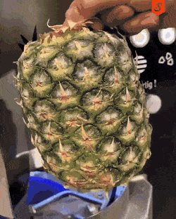GIFs-16