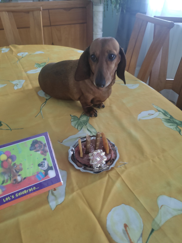 [Image: IMG-20250925-110454.jpg]