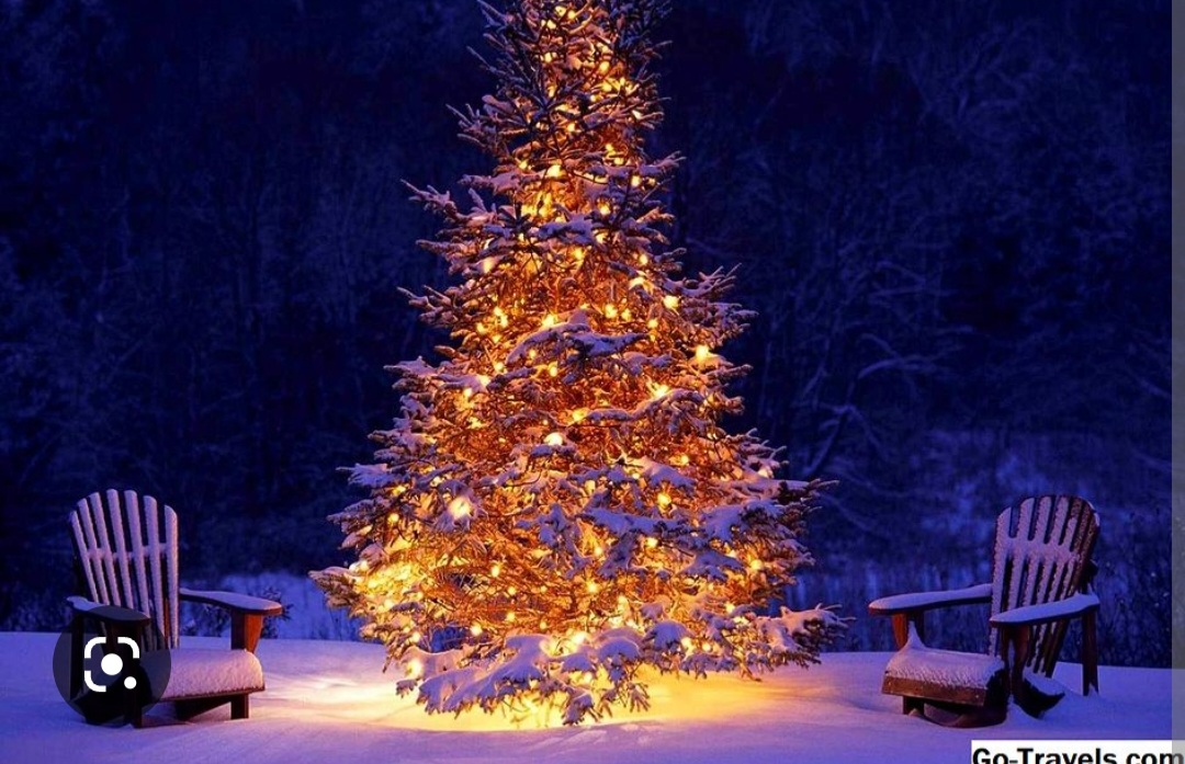 Screenshot_20221126-151529_Chrome