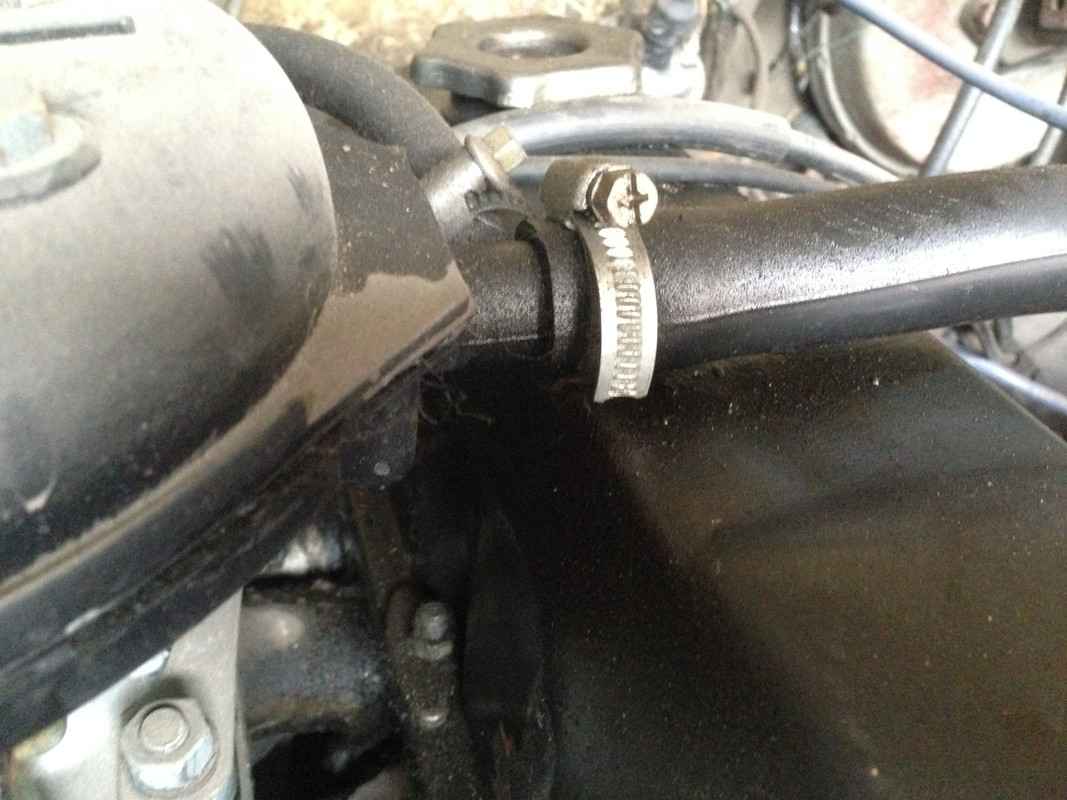 общие_фото (5)